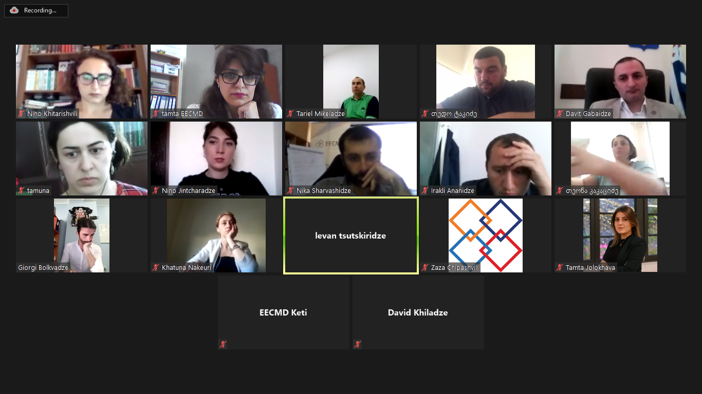 ონლაინ-შეხვედრა დემოკრატიის სკოლის მონაწილეებთან