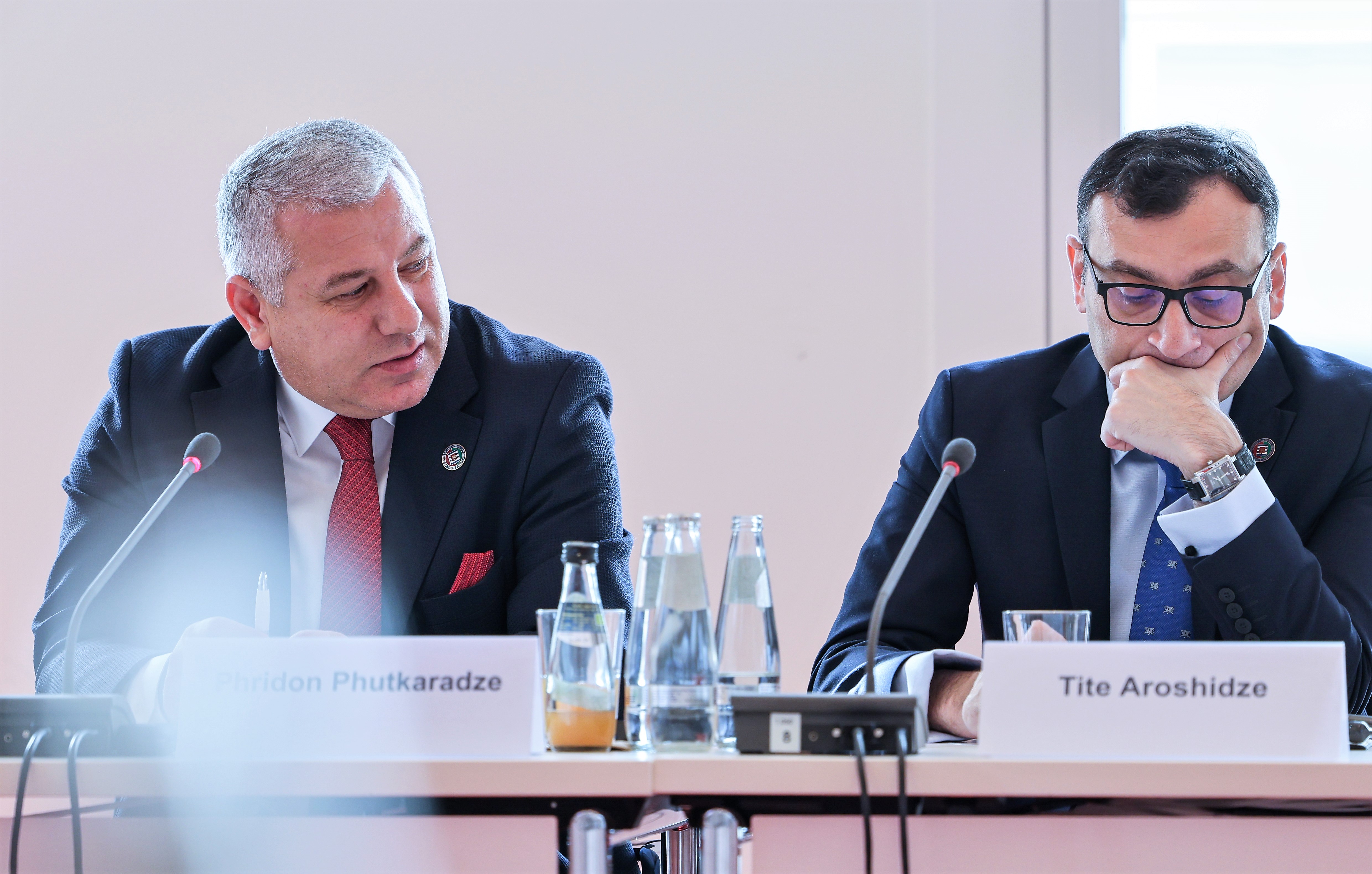 აჭარის უმაღლესი საბჭოს დელეგაცია, დავით გაბაიძის ხელმძღვანელობით, ბრანდენბურგში, სამმხრივ რეგიონულ კონფერენციას დაესწრო