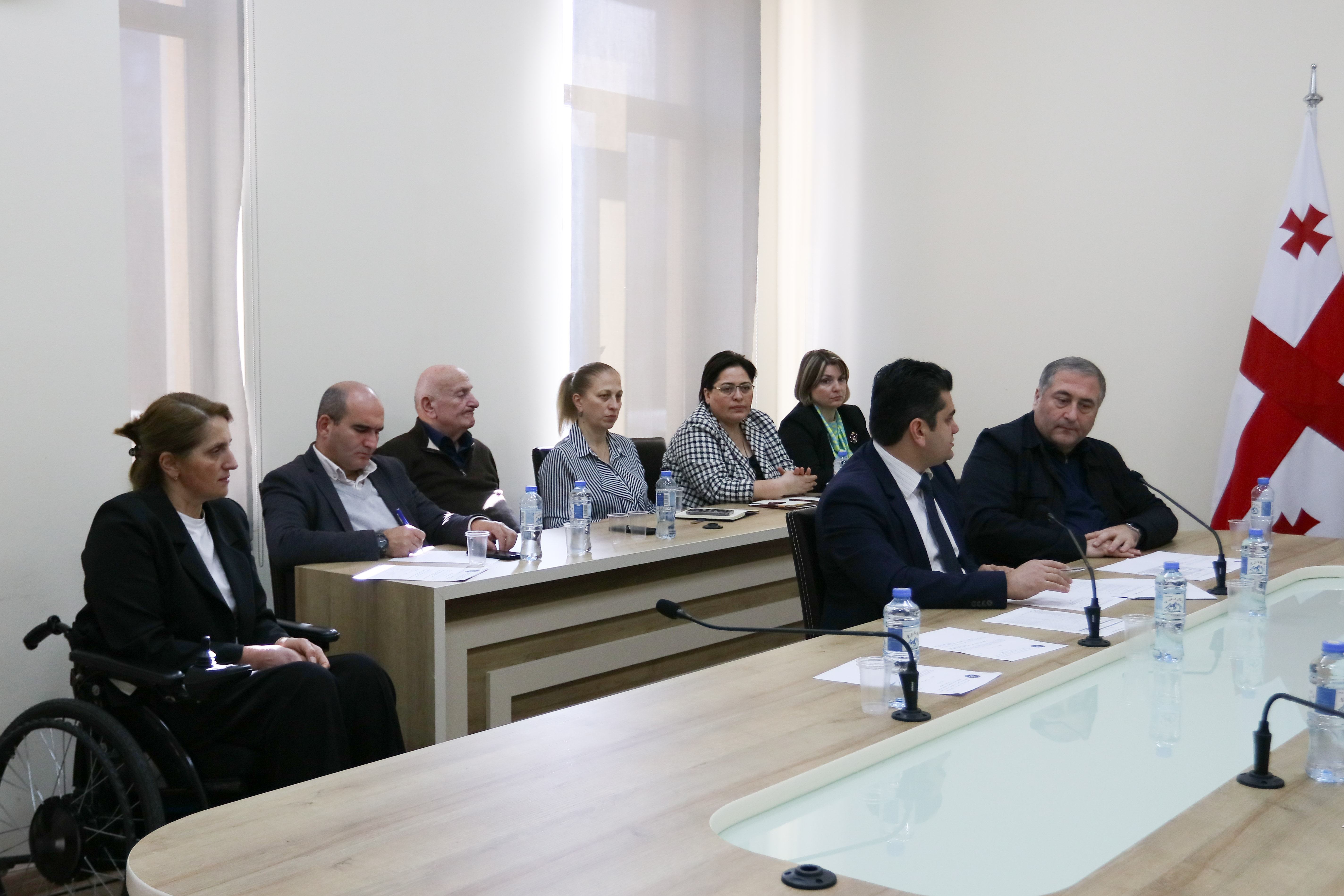 ჯანმრთელობის დაცვისა და სოციალურ საკითხთა და ადამიანის უფლებათა დაცვის  საკითხთა კომიტეტების ერთობლივი სხდომა