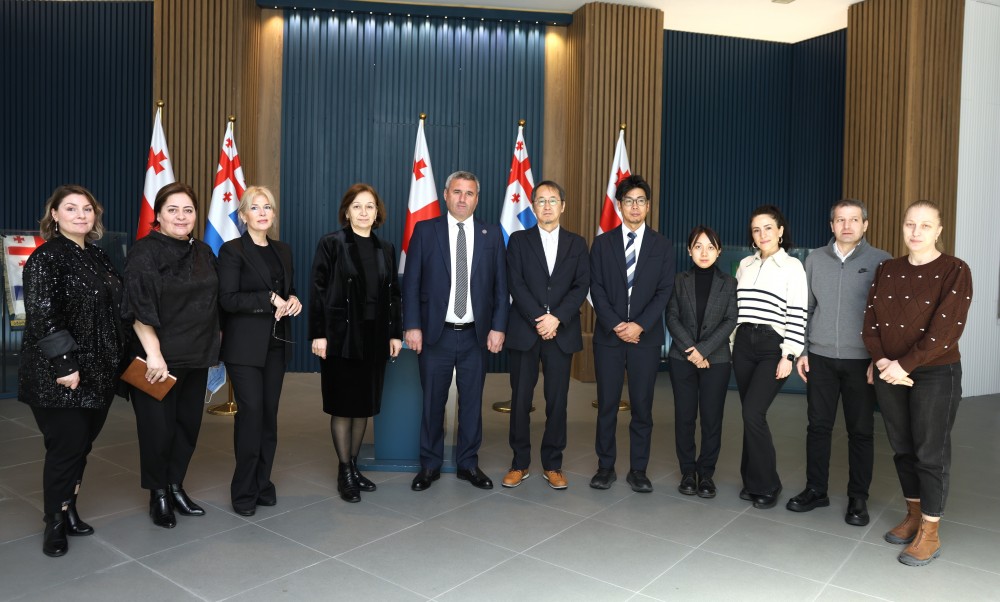 სამუშაო შეხვედრა უმაღლეს საბჭოში