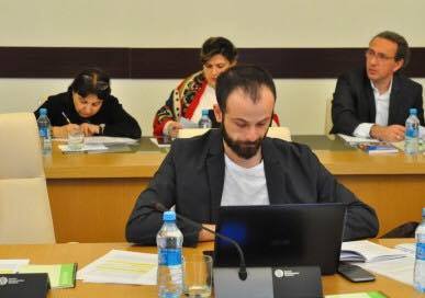 სახელმწიფო საკონსტიტუციო კომისიის თემატური ჯგუფის მორიგი სხდომა