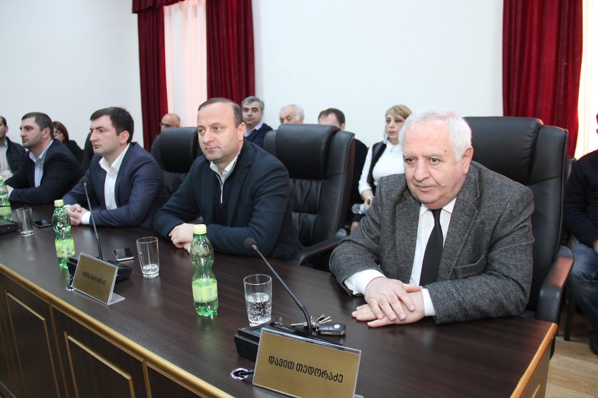 კანონმდებლებმა ასმათ დიასამიძის უფლებამოსილება ცნეს