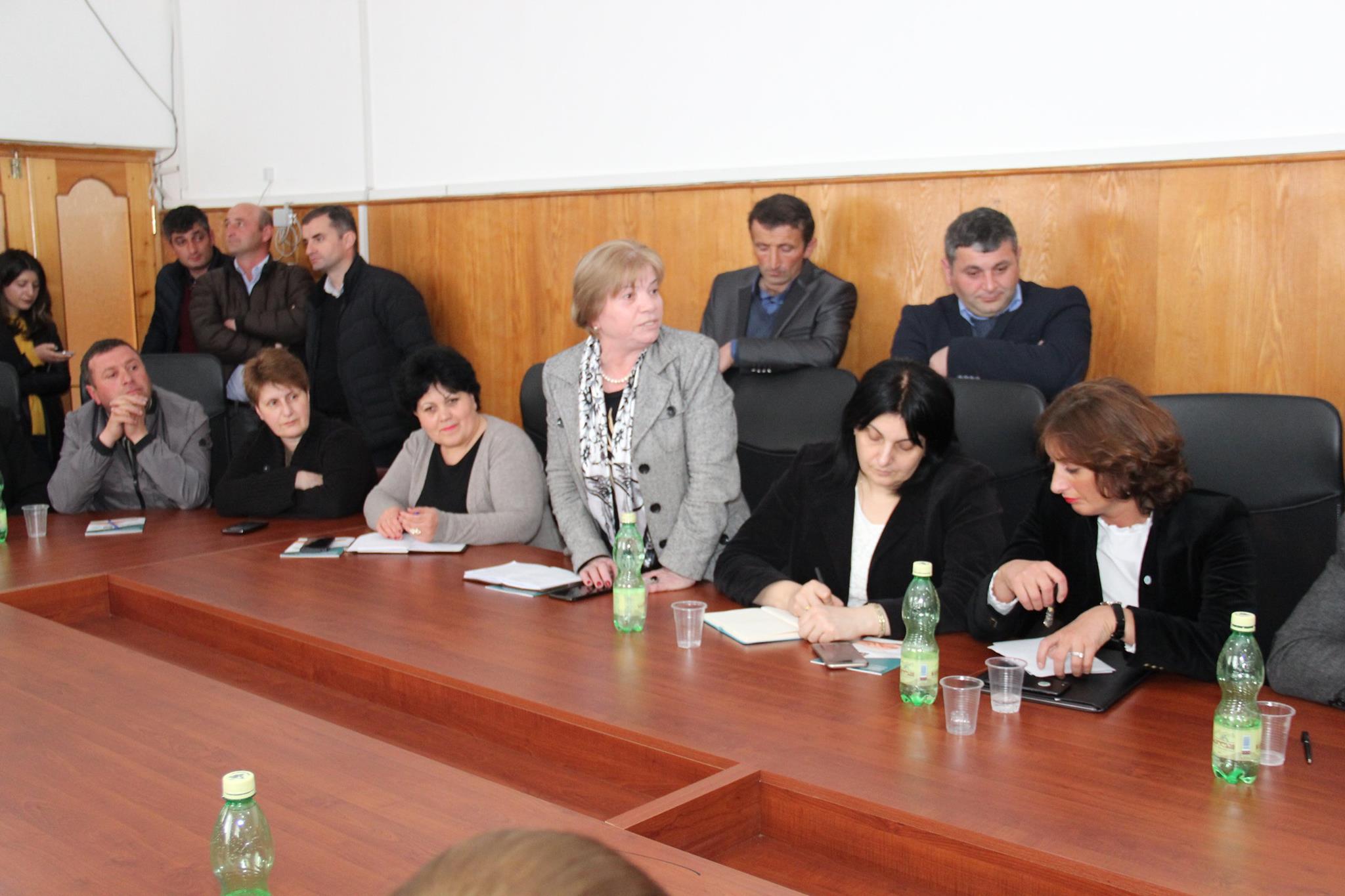 ჯანდაცვის კომისიის გასვლითი სხდომა