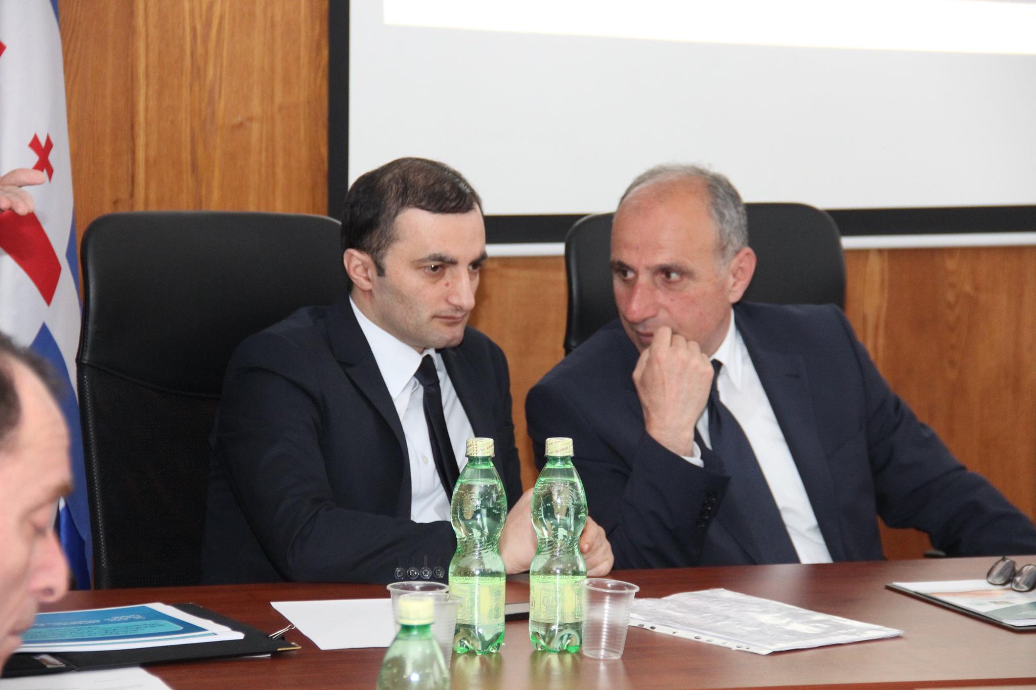 ჯანდაცვის კომისიის გასვლითი სხდომა