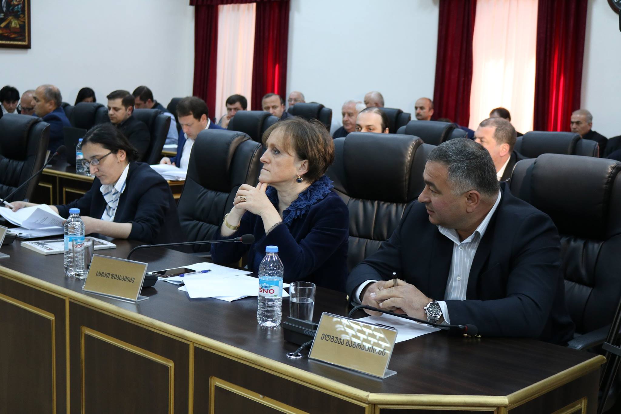 პლენარულ სხდომაზე სამი საკითხი განიხილეს