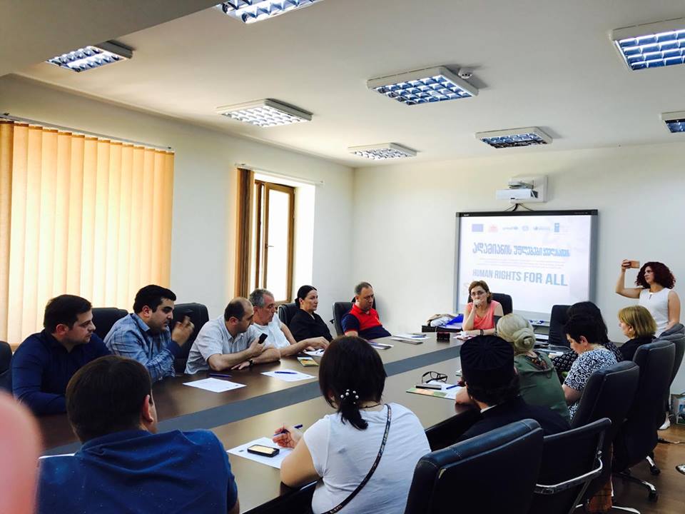 ცოტნე ანანიძე „ადამიანის უფლებები ყველასთვის“ პროექტის ფარგლებში სამუშაო შეხვედრაში მონაწილეობდა