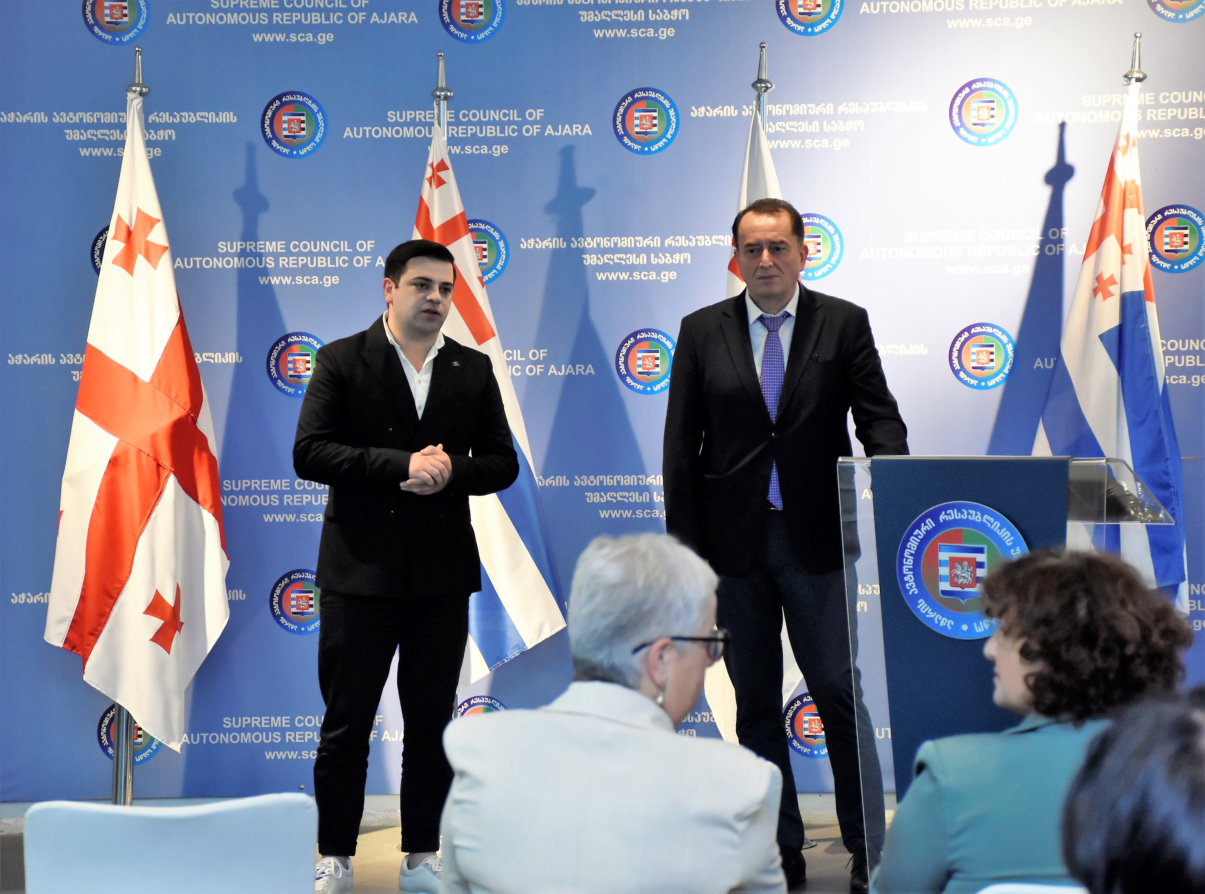 ჯანმრთელობის  დაცვისა  და  სოციალურ საკითხთა და ადამიანის უფლებათა დაცვის საკითხთა კომიტეტების  სამუშაო შეხვედრა