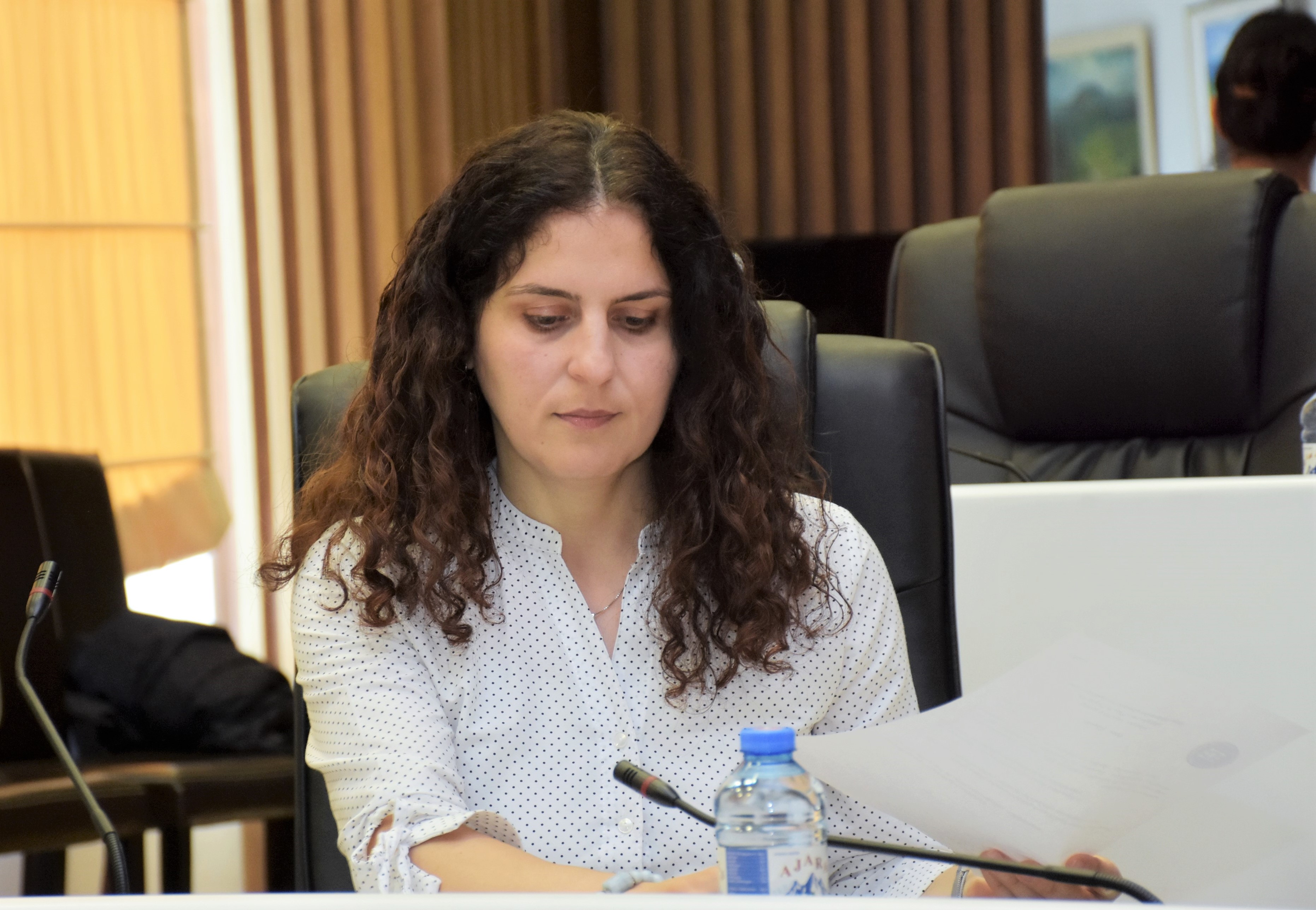 საფინანსო-საბიუჯეტო და ეკონომიკურ საკითხთა კომიტეტის სხდომაზე აჭარის ტურიზმის დეპარტამენტის ხელმძღვანელის ანგარიში მოისმინეს