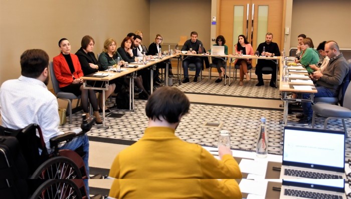 საინფორმაციო-შემეცნებითი ხასიათის შეხვედრა უმაღლესი საბჭოს აპარატის თანამშრომლებსა და ახალგაზრდული ორგანიზაციებს შორის