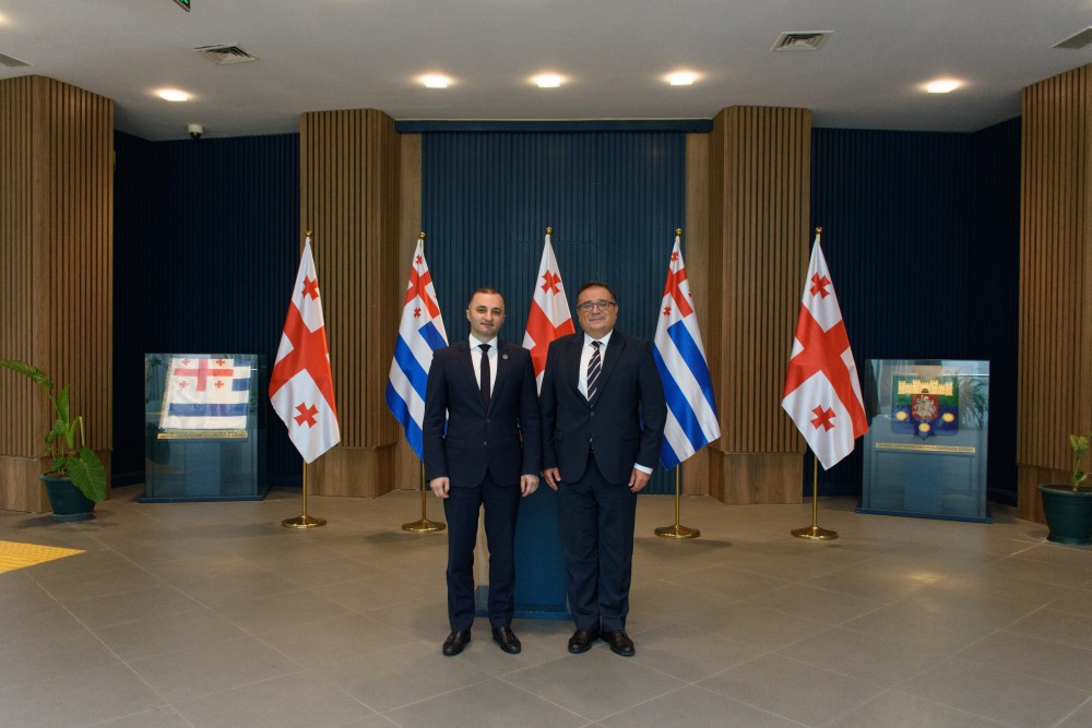 დავით გაბაიძემ რიზა ქაღან ილმაზს უმასპინძლა