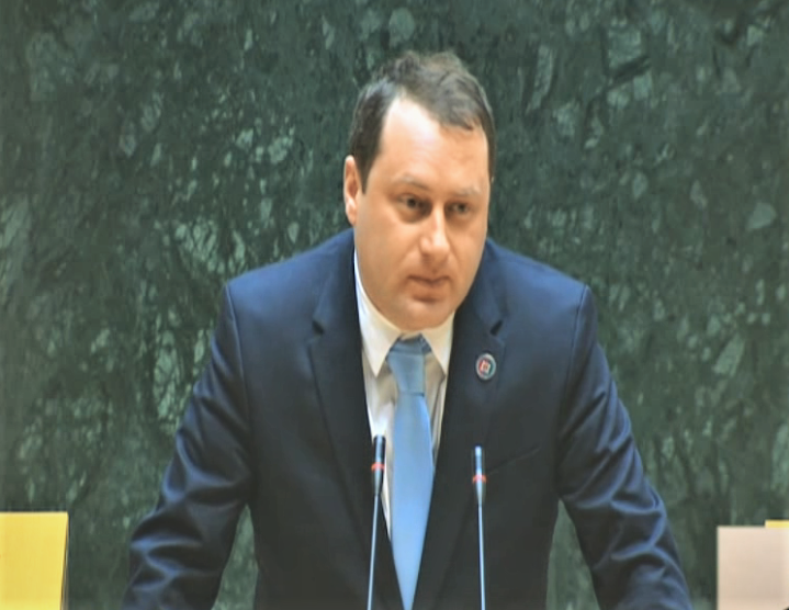 პარლამენტში ლადო მგალობლიშვილის ინიციატივა მესამე მოსმენით განიხილეს