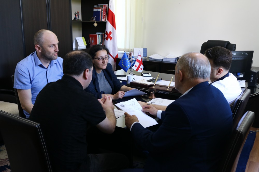  &nbsp;ანგარიშს პლენარულ სხდომაზე მოისმენენ