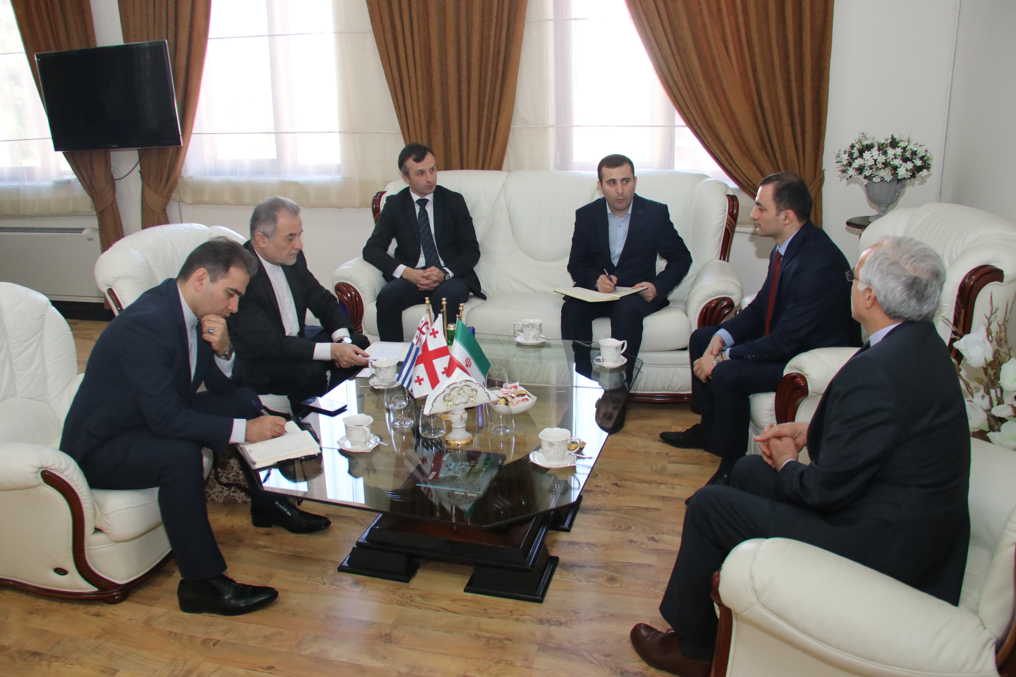 დავით გაბაიძემ ირანის ელჩს უმასპინძლა