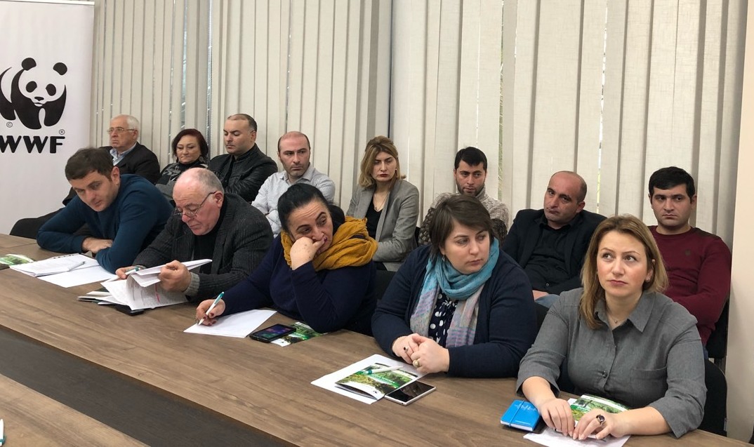 შეხვედრა ქობულეთში