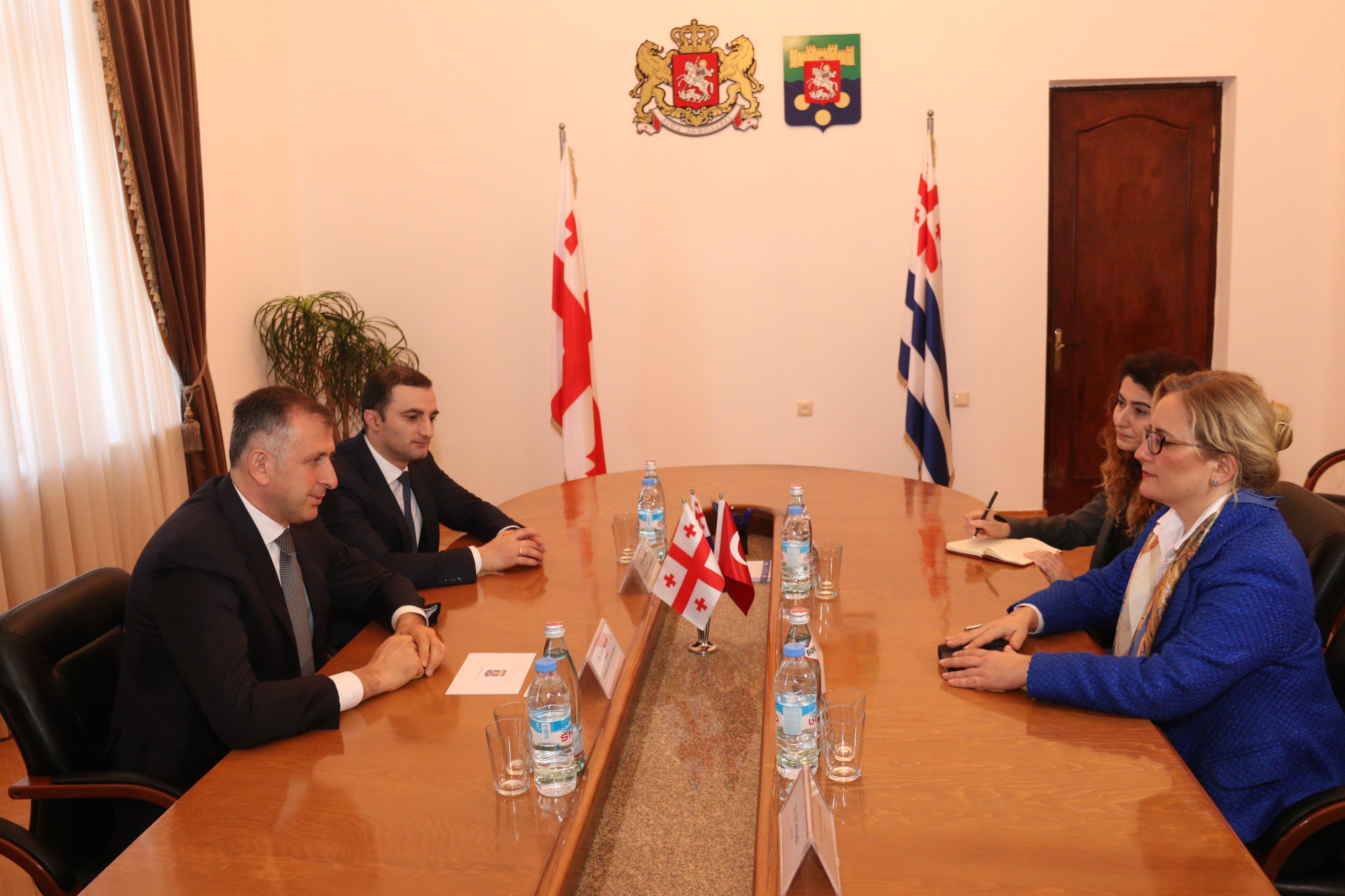 შეხვედრა თურქეთის ელჩთან