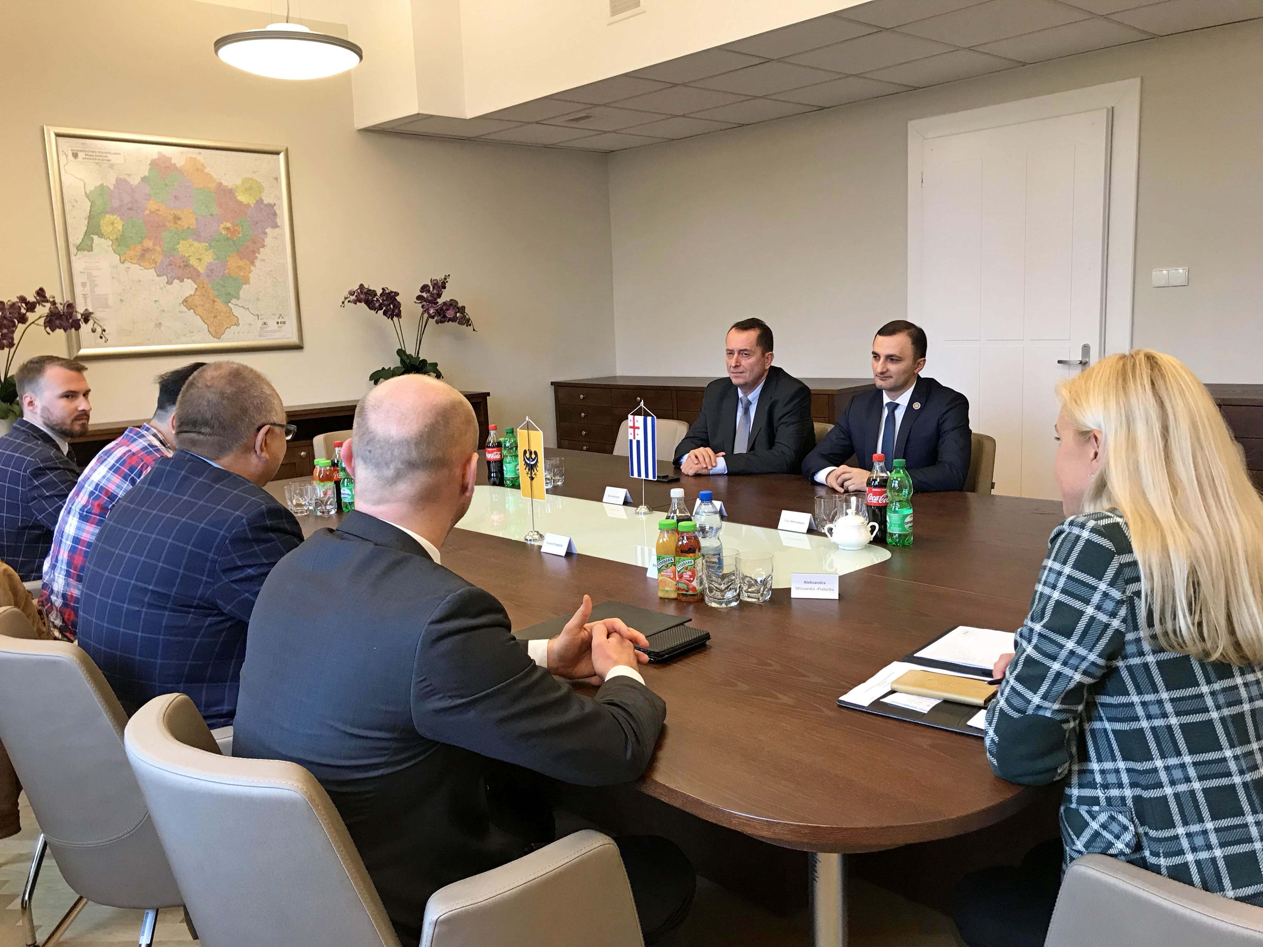 დავით გაბაიძე ქვემო სილეზიის მარშალს ცეზარ ფშიბილსკის შეხვდა