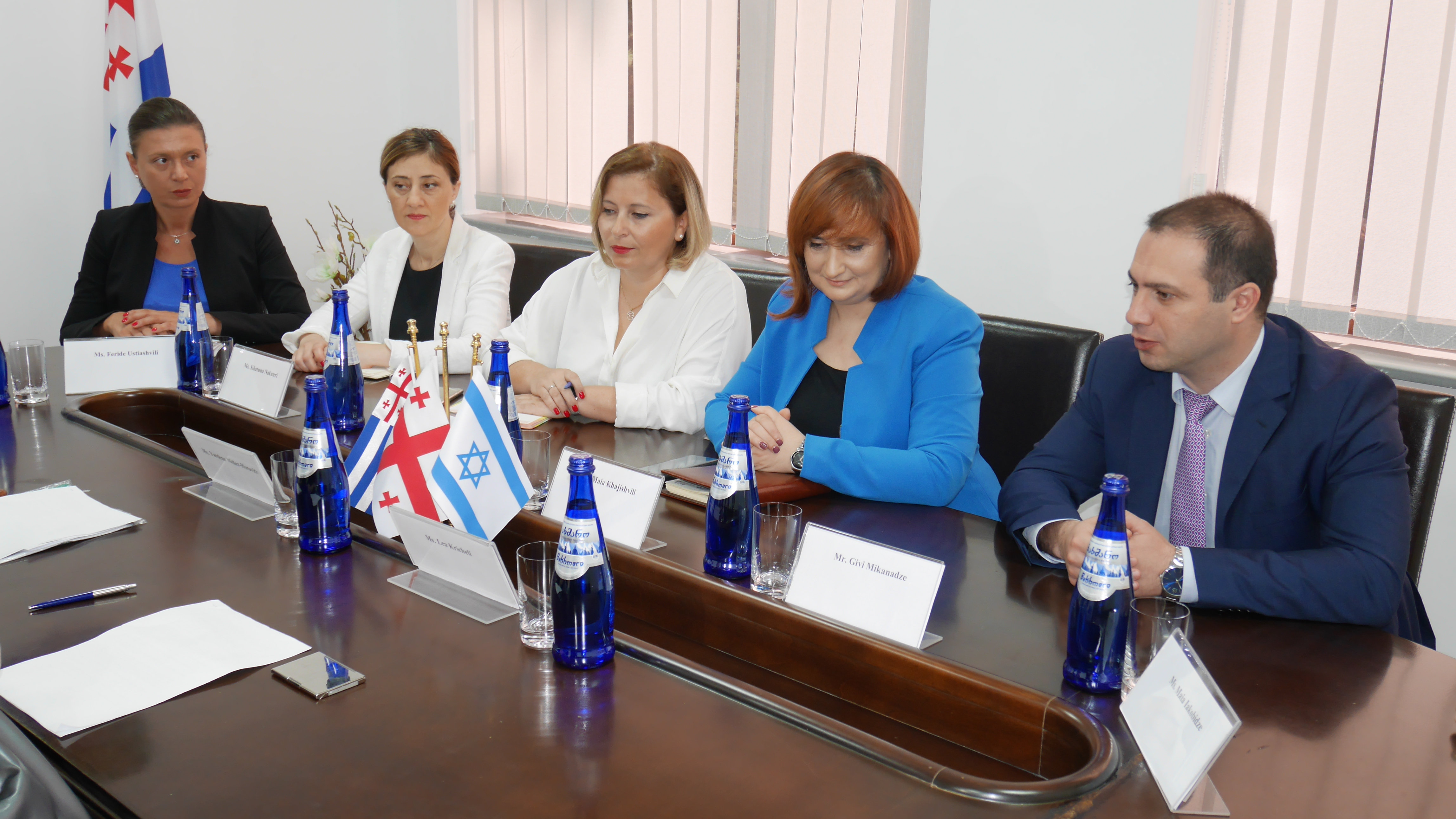 &nbsp;შეხვედრა ისრაელის ქნესეთის წარმომადგენლებთან