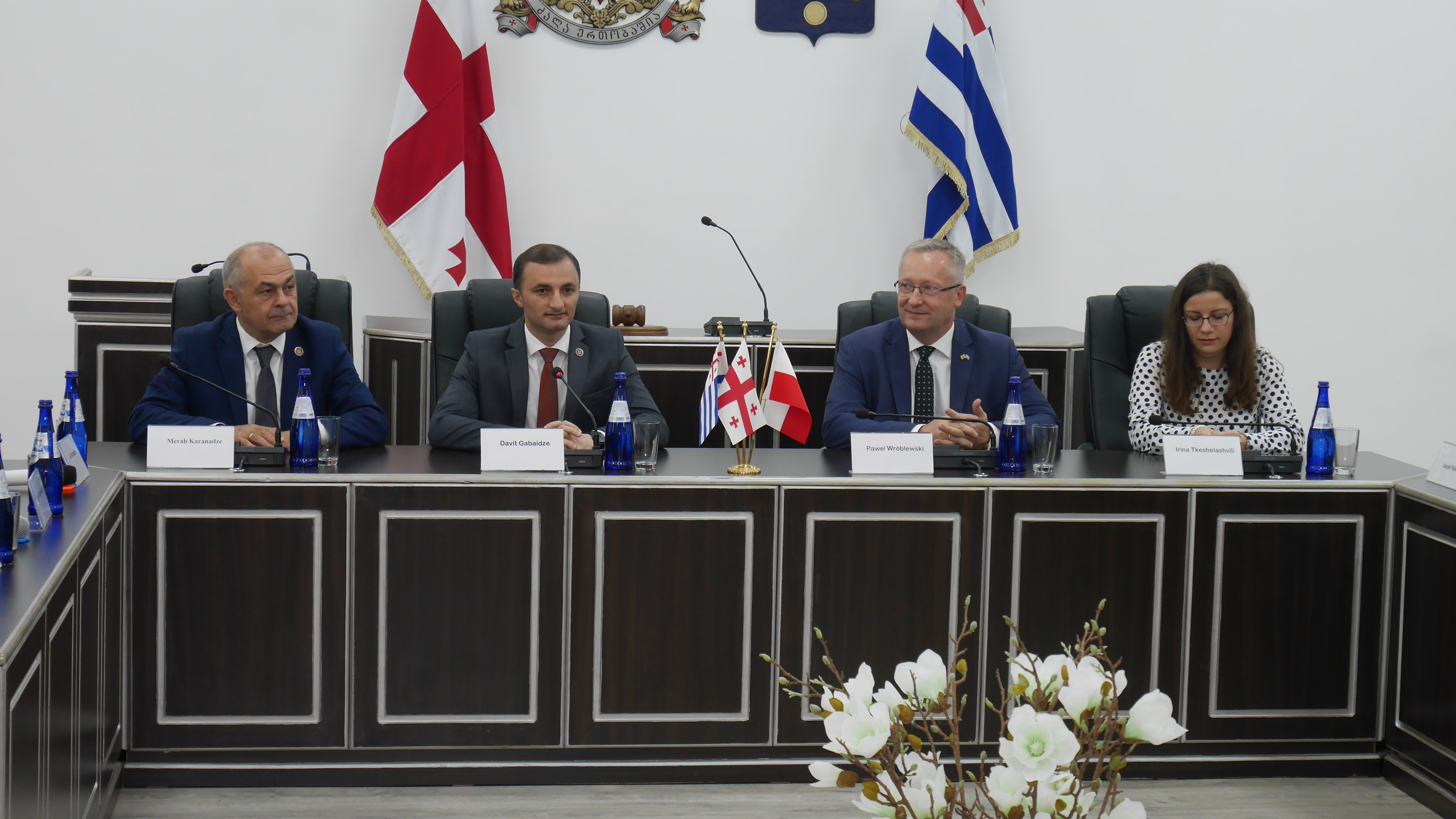 ქვემო სილეზია მხარს უჭერს საქართველოს 