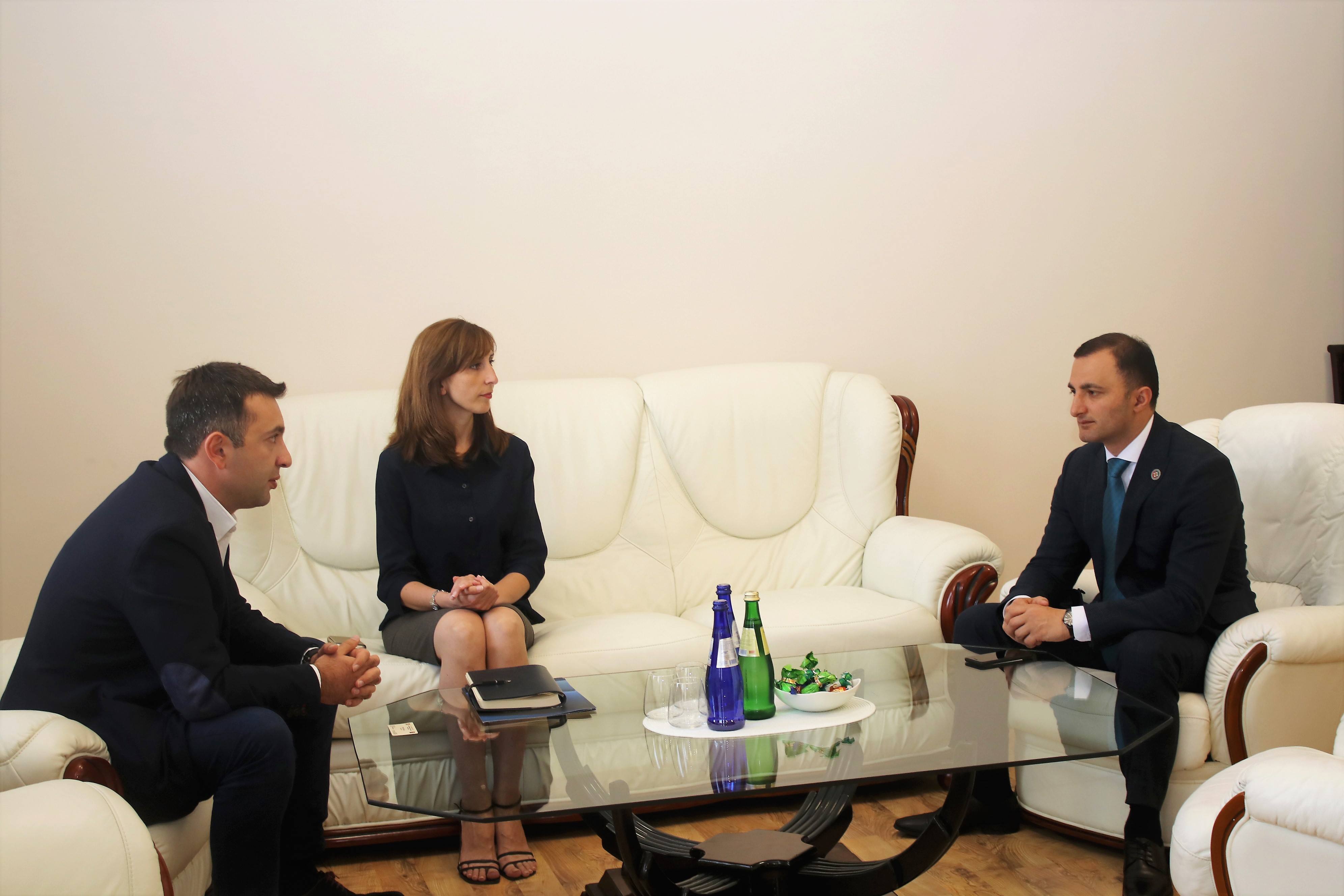 დავით გაბაიძე ფინანსთა სამინისტროს აკადემიის წარმომადგენლებს შეხვდა