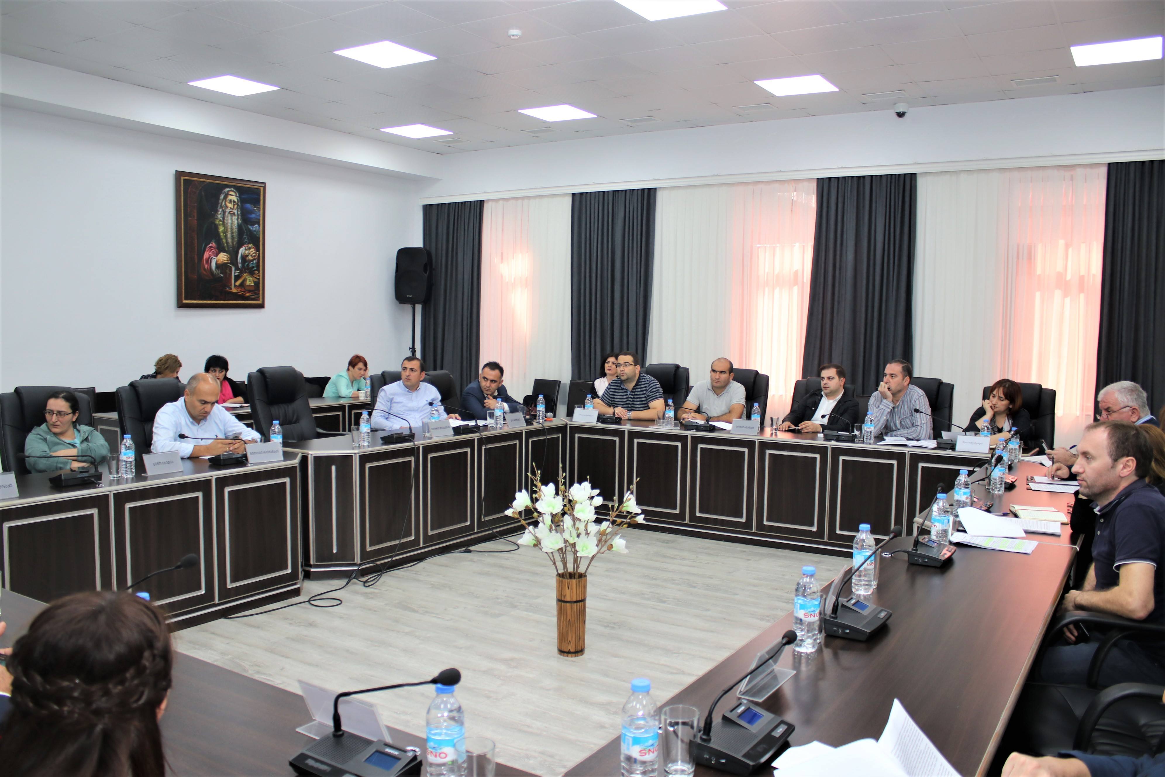 შეხვედრა არასამთავრობო სექტორის წარმომადგენლებთან