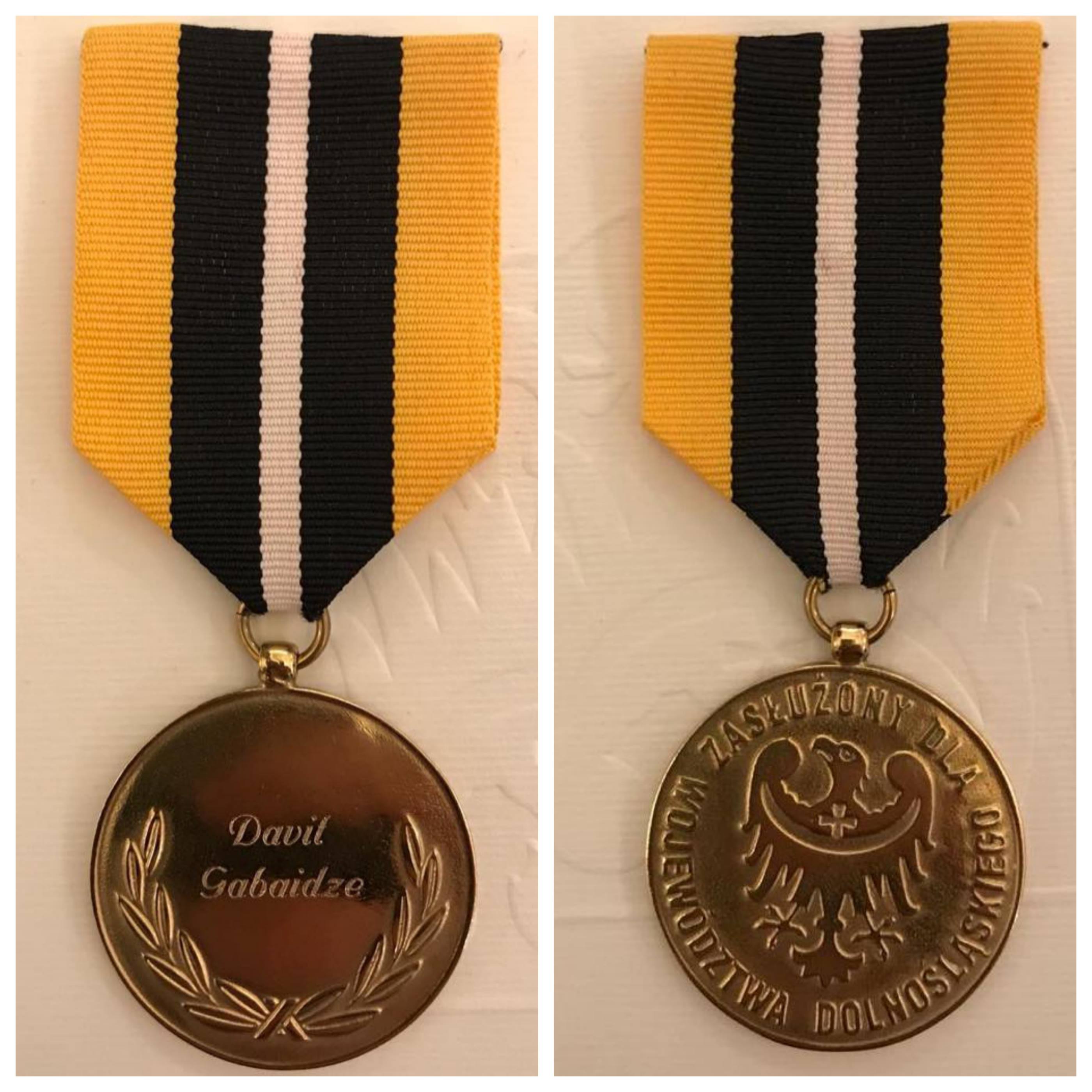 დავით გაბაიძე საპატიო მედლით დააჯილდოეს
