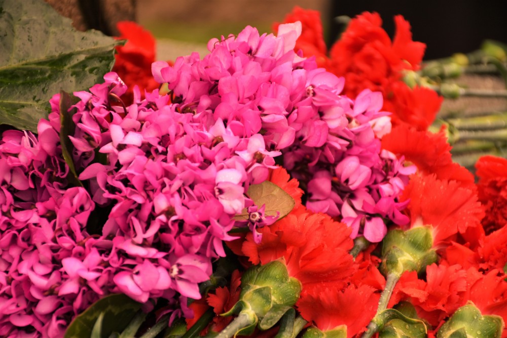  98 წელი საბჭოთა ოკუპაციიდან