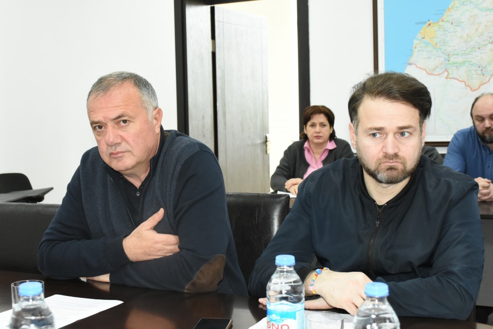 კომიტეტმა საკანონმდებლო ინიციატივები ცნობად მიიღო