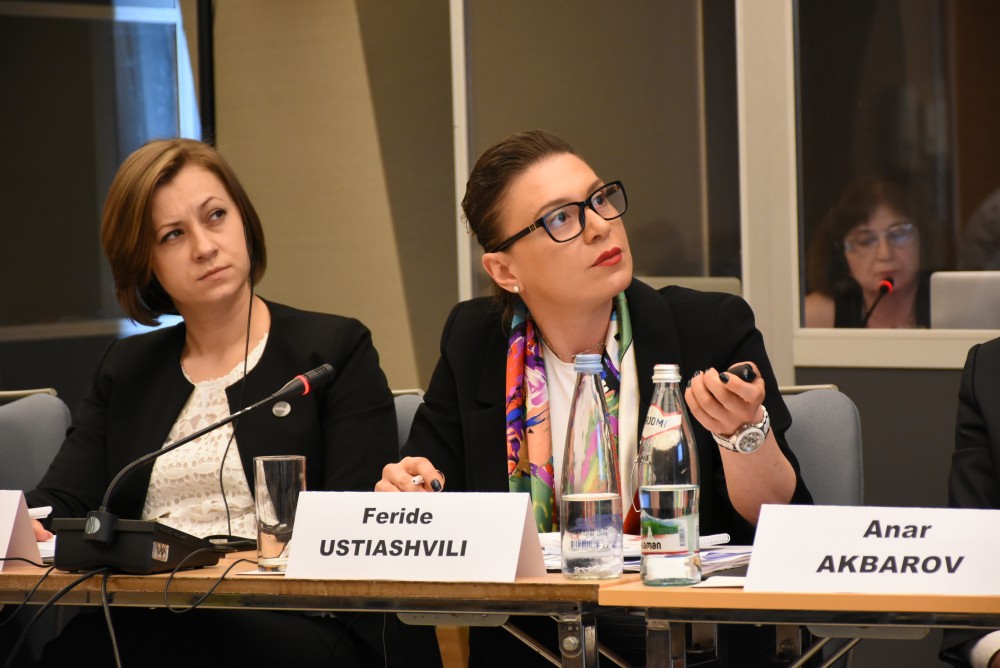 საპარლამენტო სემინარი მუშაობას აგრძელებ