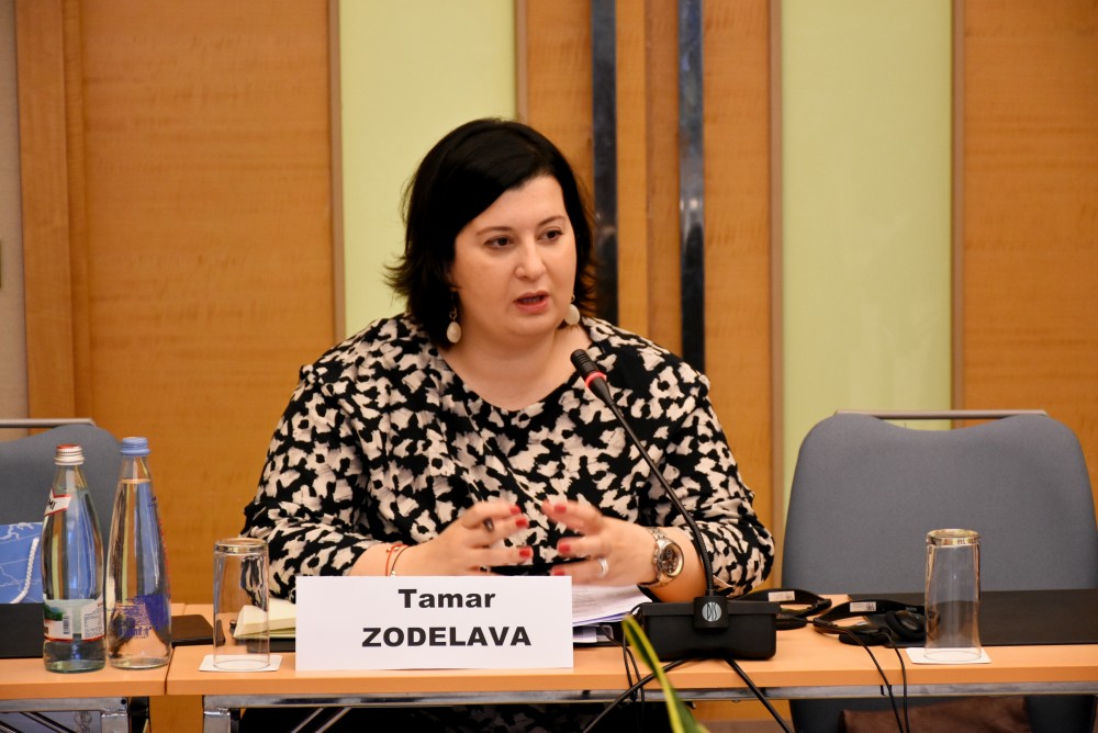 საპარლამენტო სემინარი მუშაობას აგრძელებ