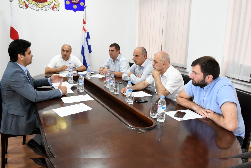 კანონმდებელთა დასკვნა და რეკომენდაციები მთავრობას გადაეგზავნება