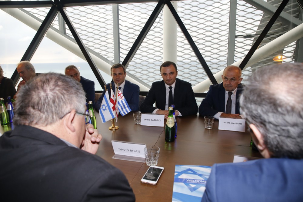 დავით გაბაიძემ ისრაელის დელეგაციას უმასპინძლა
