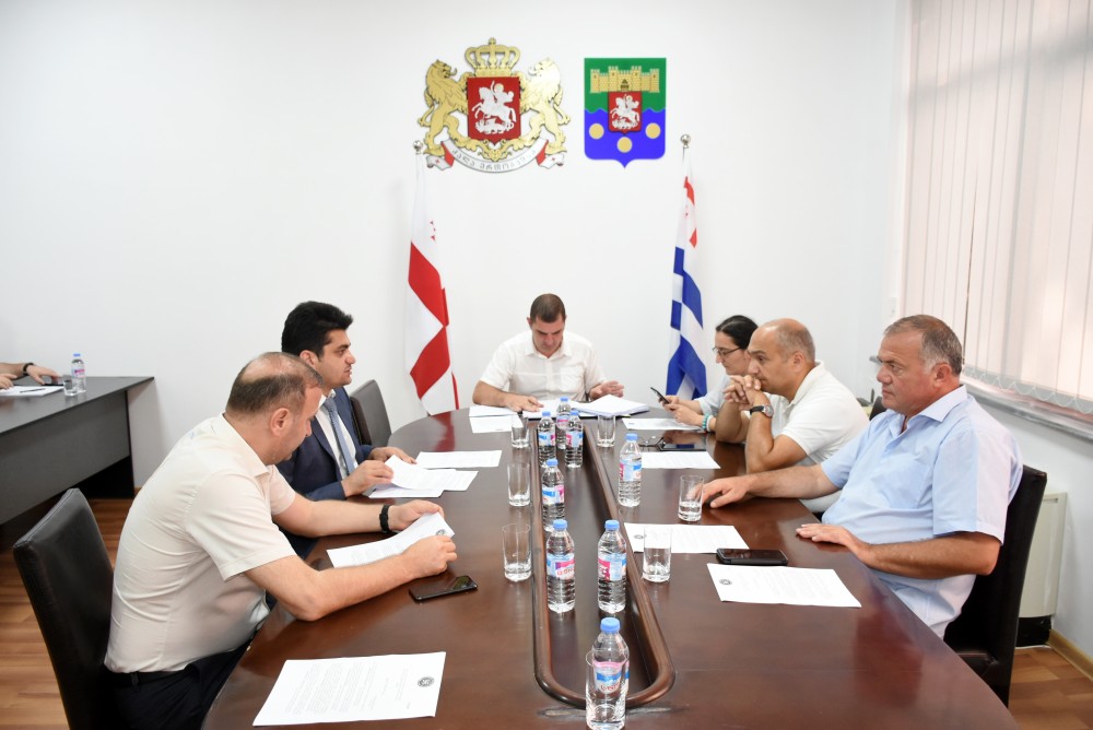 კომიტეტი მხარს უჭერს ანგარიშის ბიუროზე წარდგენას