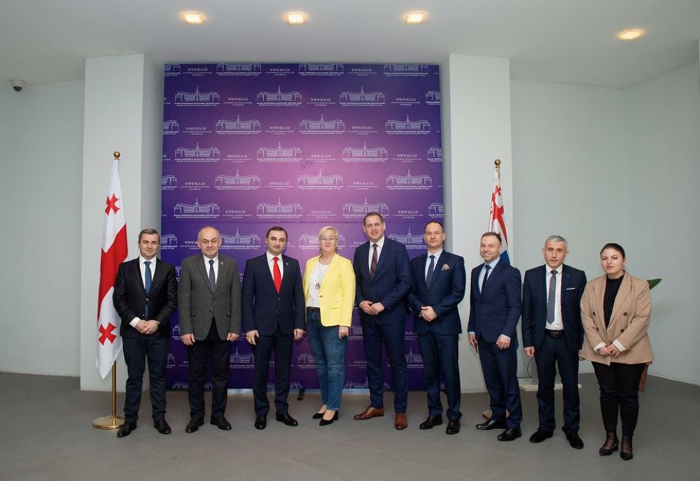 დავით გაბაიძემ ლუბუშის დელეგაციას უმასპინძლა