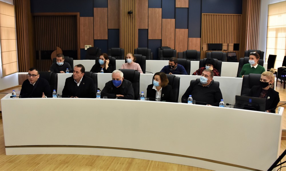 სამუშაო შეხვედრა ჯანდაცვის კომიტეტში