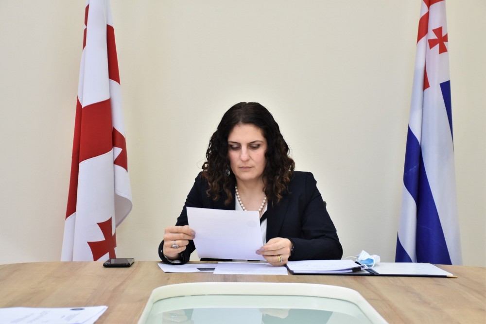 კომიტეტმა 2021 წლის სამოქმედო გეგმა დაამტკიცა