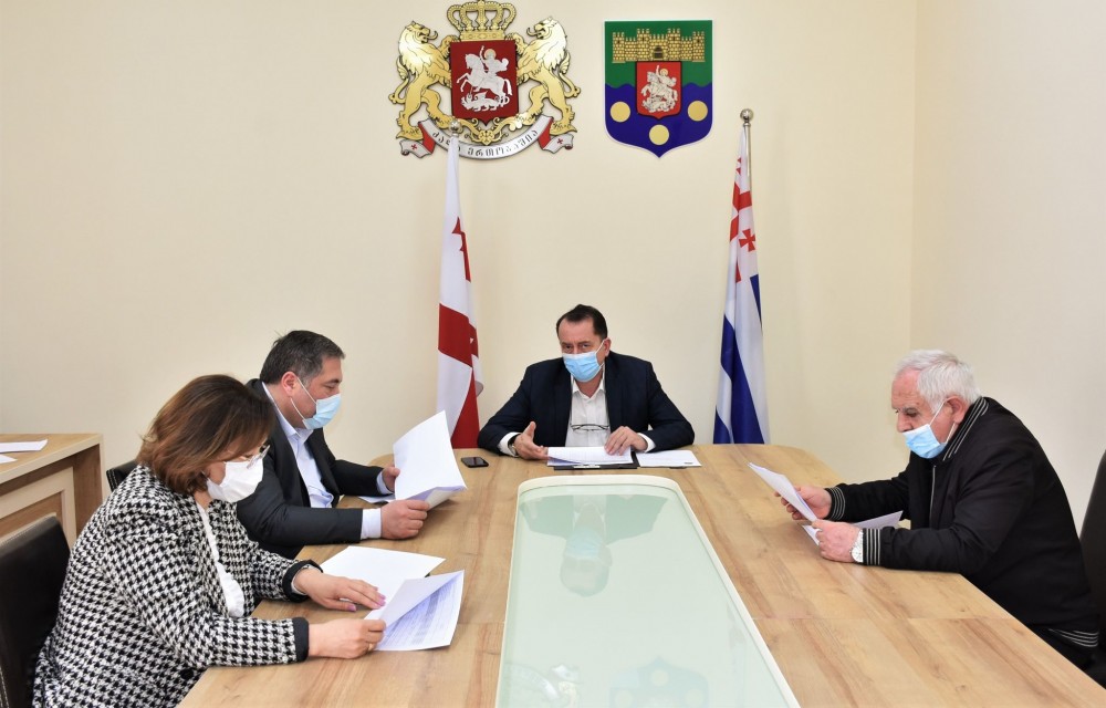 კომიტეტმა სამოქმედო გეგმის განხილვა დაასრულა