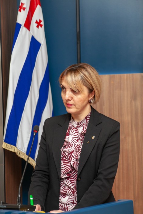 პლენარული სხდომა