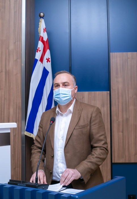 პლენარული სხდომა