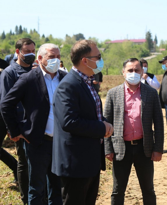 ფრიდონ ფუტკარაძე სოფელ ოჩხამურში ხვნა-თესვის პროცესს დაესწრო