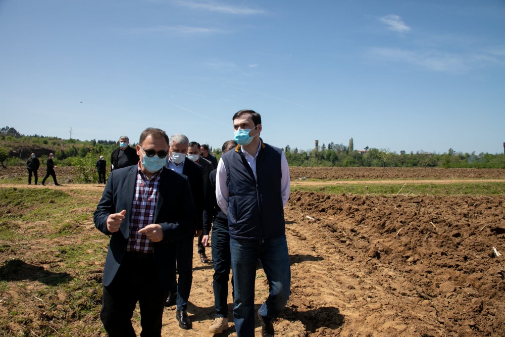 ფრიდონ ფუტკარაძე სოფელ ოჩხამურში ხვნა-თესვის პროცესს დაესწრო