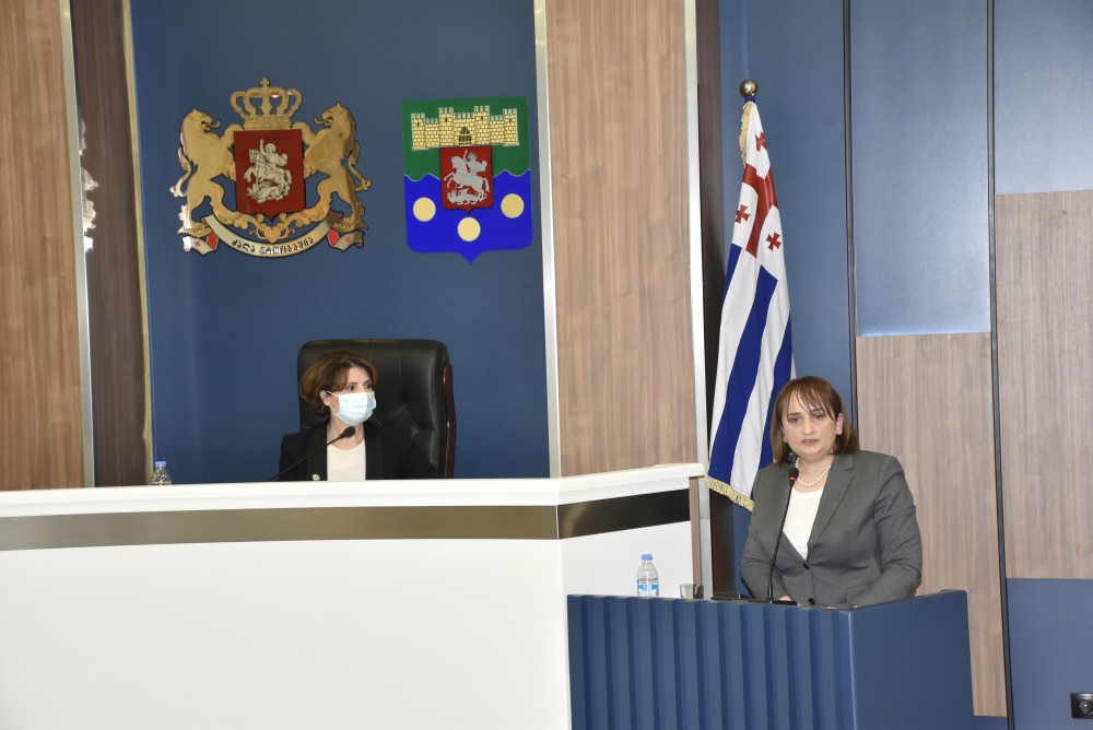 კულტურის კომიტეტის გასვლითი სხდომა აჭარის უმაღლეს საბჭოში