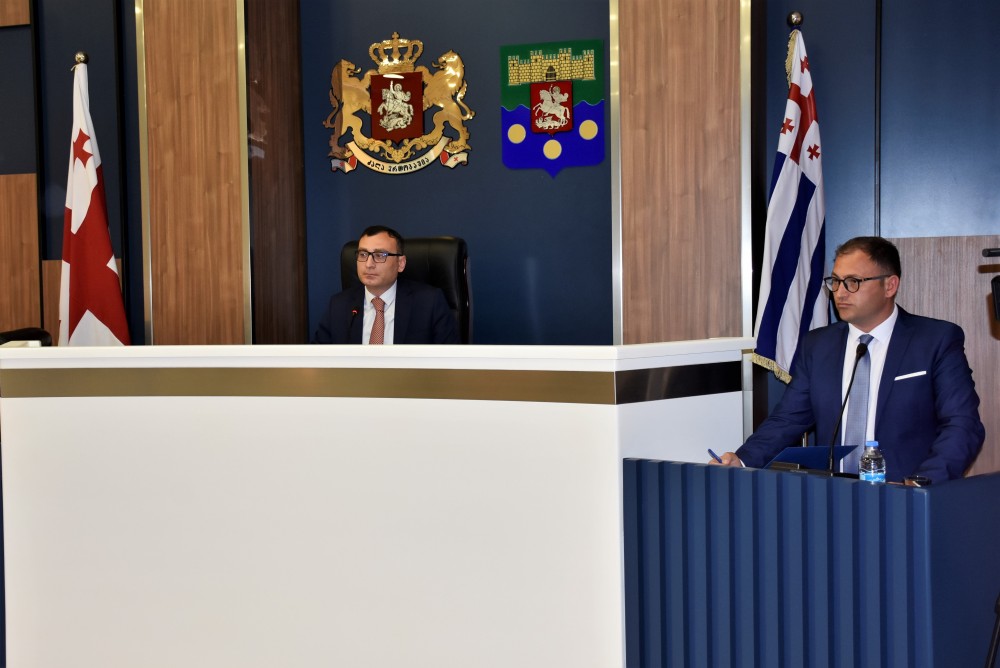 პლენარული სხდომა