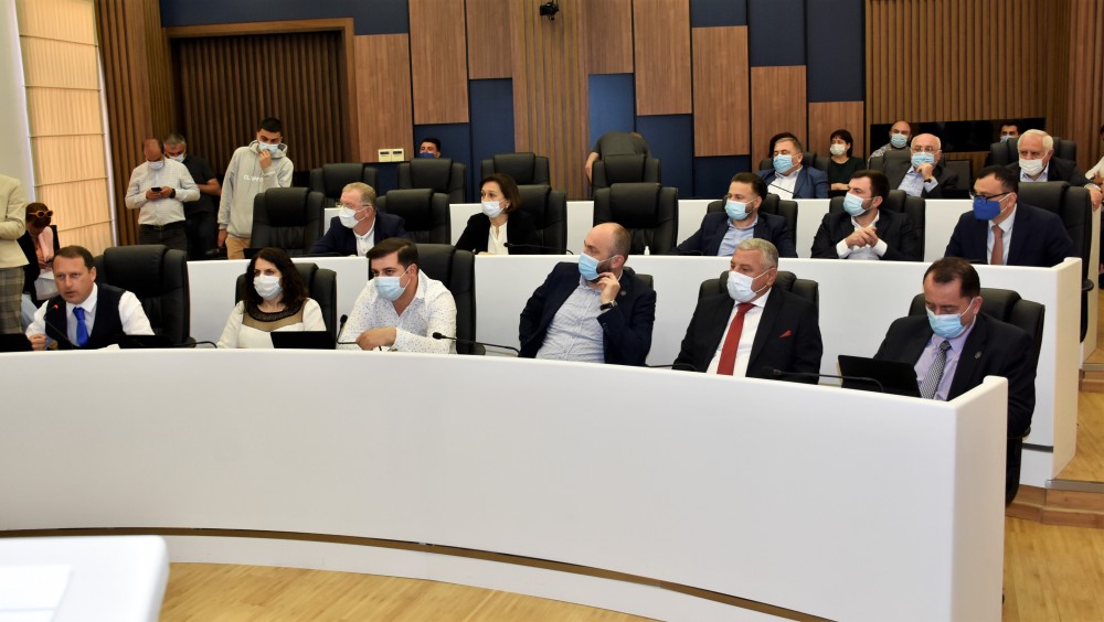 პლენარული სხდომა