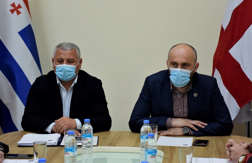 განათლების, მეცნიერების, კულტურისა და სპორტის საკითხთა და აგრარულ და გარემოს დაცვის საკითხთა კომიტეტების გაერთიანებული სხდომა