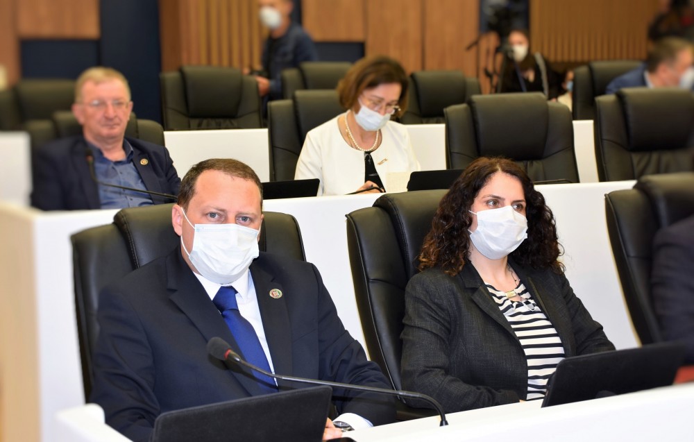 რიგგარეშე პლენარული სხდომა