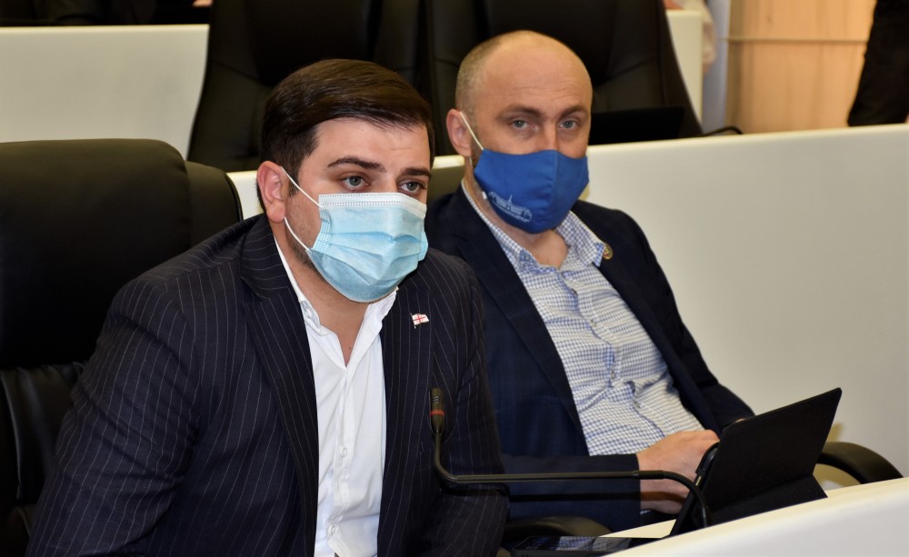 რიგგარეშე პლენარული სხდომა