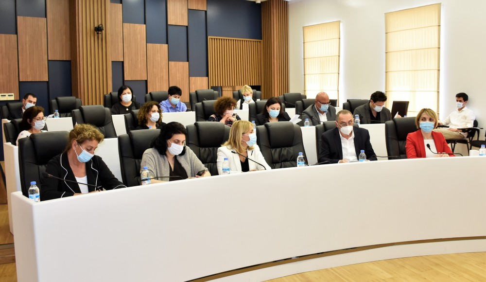 ჯანმრთელობის დაცვისა და სოციალურ საკითხთა კომიტეტის სამუშაო შეხვედრა