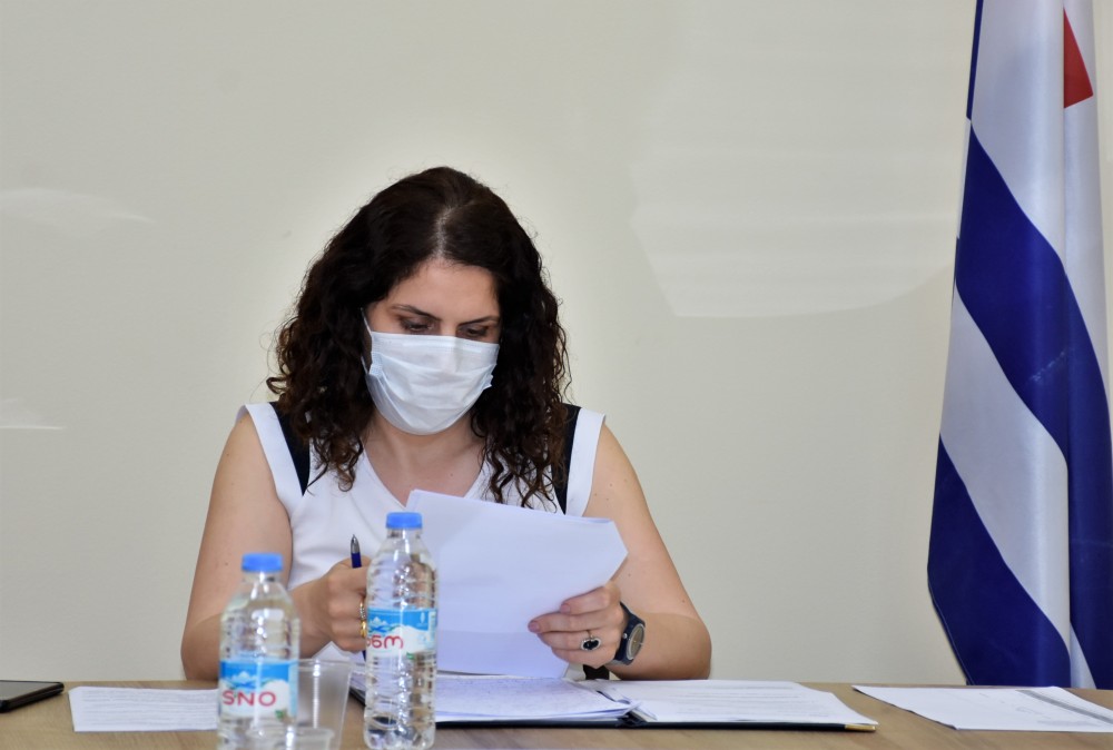 საფინანსო-საბიუჯეტო და ეკონომიკურ საკითხთა კომიტეტის სხდომა