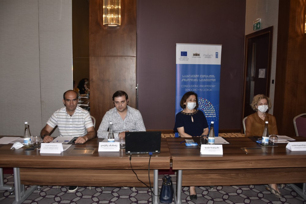 კომიტეტების სამოქმედო გეგმების განხილვა