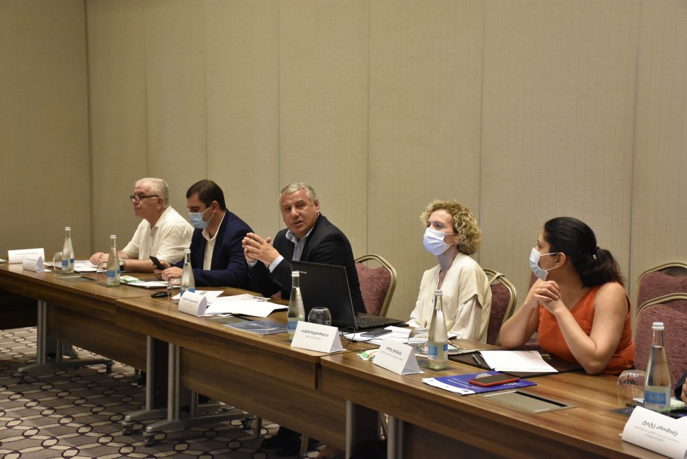 კომიტეტების სამოქმედო გეგმების განხილვა